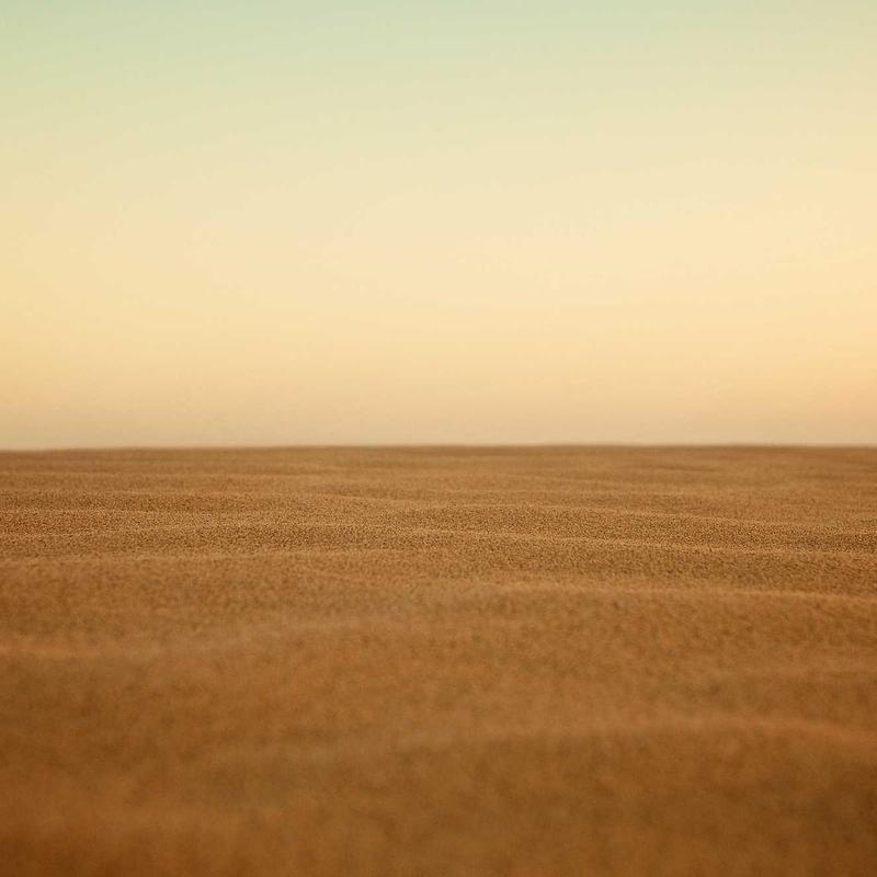 Farm Table Dehydrated Vegetable Soup Mix — Earthborne Farms