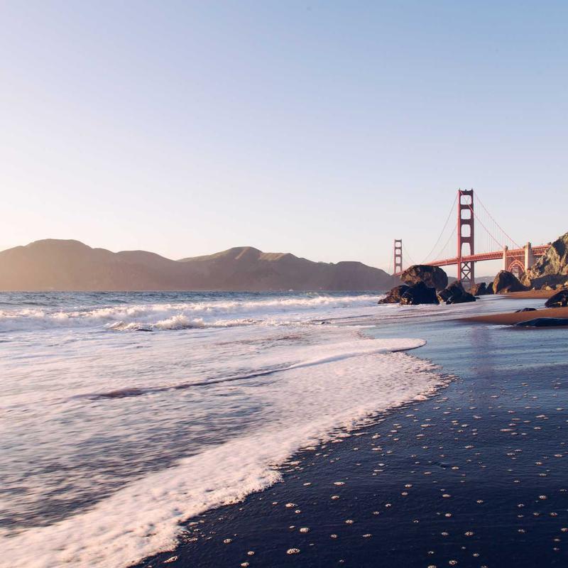 Farm Table Dehydrated Vegetable Soup Mix detail — Kevin Grizzle Farms